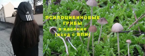 ешки Богородск