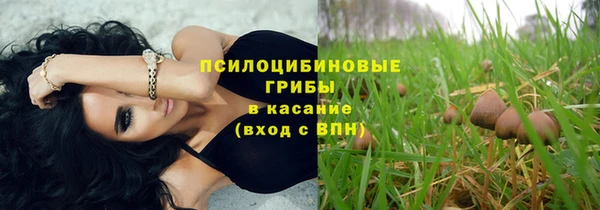 гашик Белоозёрский